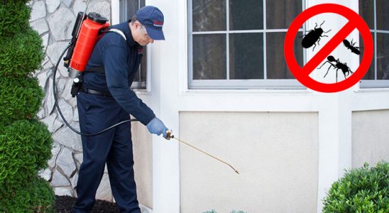Borçka Dezenfeksiyon böcek ilaçlama ve haşere kontrolü — ilaclama-tr.com